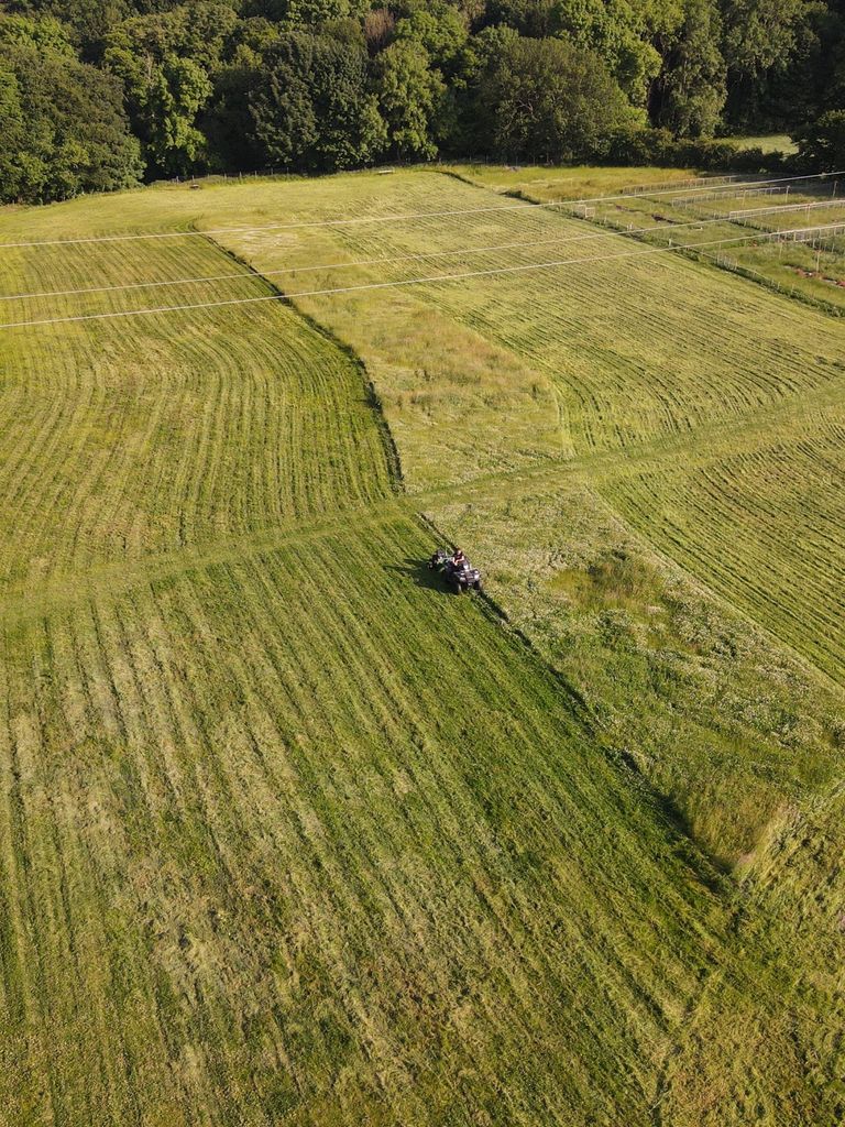 grounds maintenance